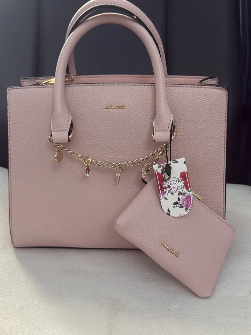 ALDO Pink Structured Satchel with Gold Charm and Pouch